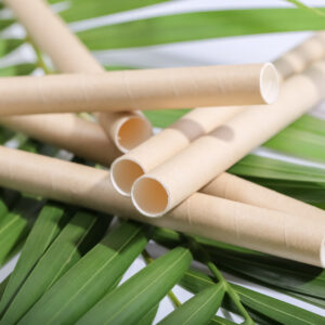 GIANT SIZE STRAWS