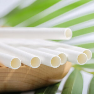 JUMBO SIZE STRAWS